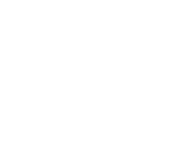 Lindo Lugar Logo